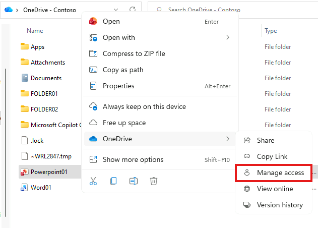 Esercizio 1 – Passo 6 – Gestione degli accessi condivisi (Manage Access)